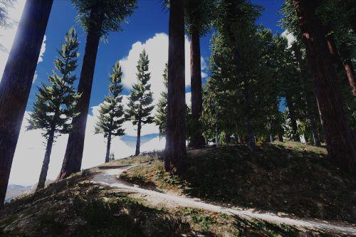 Project Forest(YMAP)